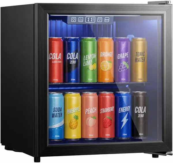 Getränkekühlschrank 50L Mini Kühlschrank mit UV-beständig